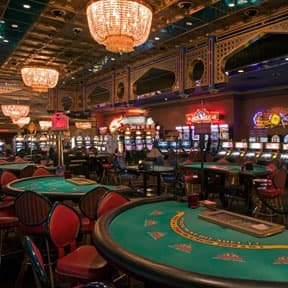 apkzee20 Sportsbook